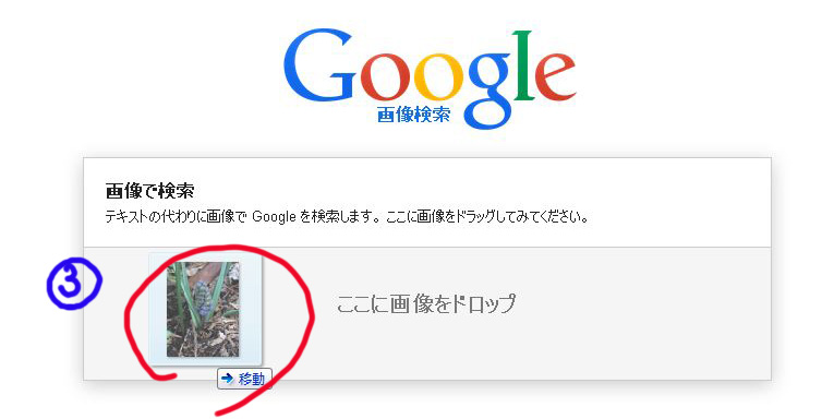 http://www.asuka-g.co.jp/column/040202.jpg