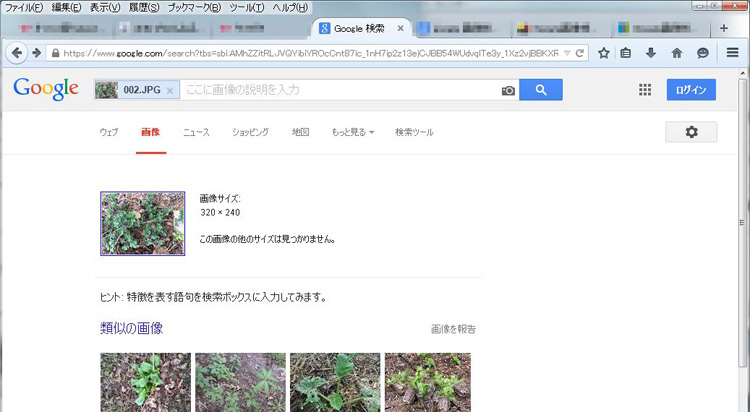 http://www.asuka-g.co.jp/column/040206.jpg