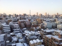 20130115_070446.jpg