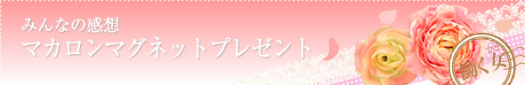 働く女web〜みんなの感想「マカロンマグネットプレゼント」