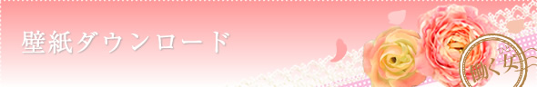 壁紙ダウンロード